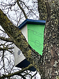 Vogelhausbau 