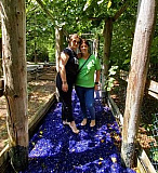 Gesamtjugendausflug 2023